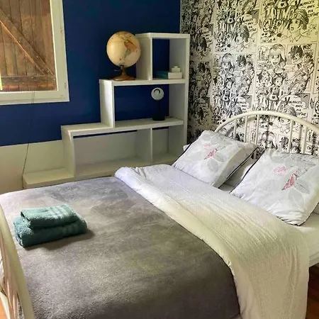 Maison Avec Piscine Climatisation Et Jardin Cloture Animaux, Acceptes *